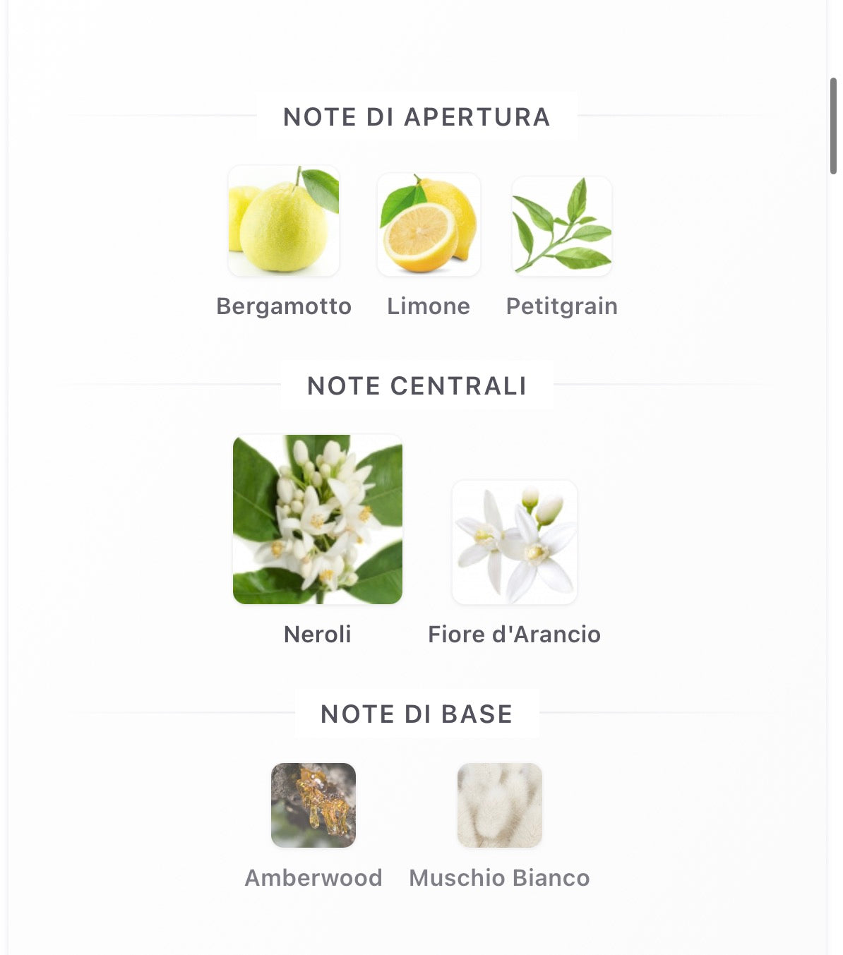 Tom ford Neroli Portofino Aqua (discontinued)
